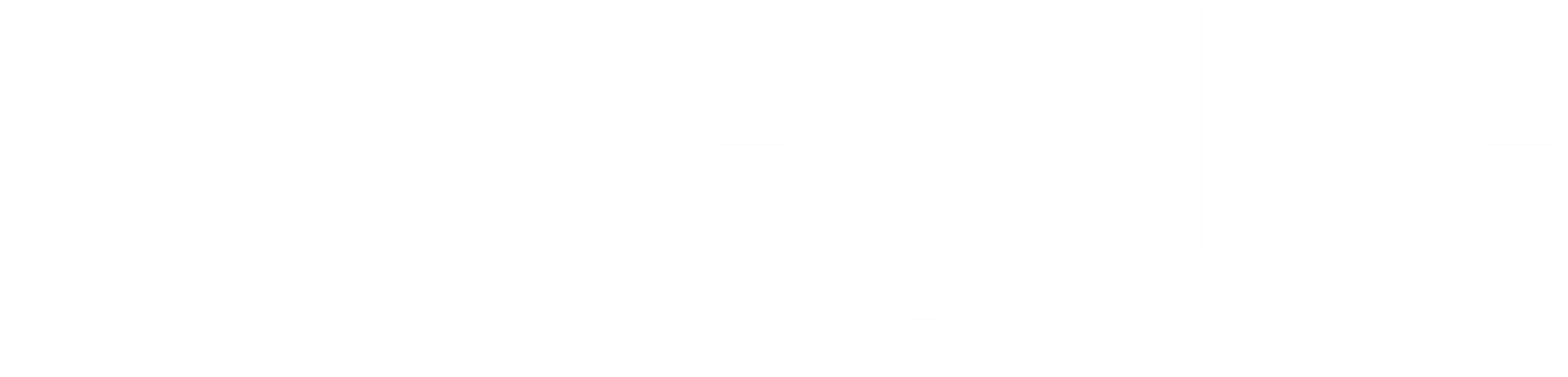 Anservice